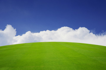 Beautiful grass field in bright day.