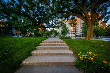 Stairs and tree in a small park near Foggy Bottom, Washington, D