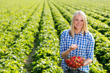 Frau mit Korb voller Erdbeeren