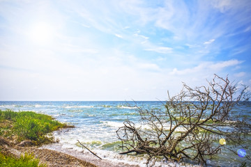 beach sea blue sky and azure water, nature background