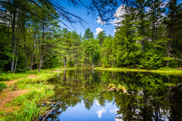 Fototapeta na wymiar The Archery Pond at Bear Brook State Park, New Hampshire.