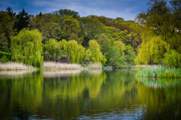 Fototapeta na wymiar The Grenadier Pond, at High Park, in Toronto, Ontario.