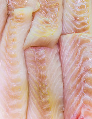 Background of raw fish