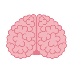 Human brain on white