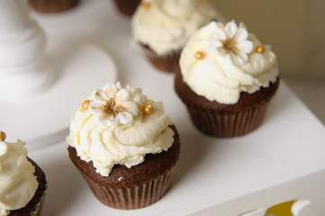 Delicious sweet buffet with cupcakes. Sweet holiday buffet with