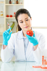 biotechnology engineer examining genetic modification apple