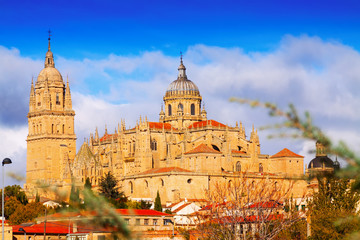 Obraz na płótnie Canvas Salamanca Cathedral in autumn