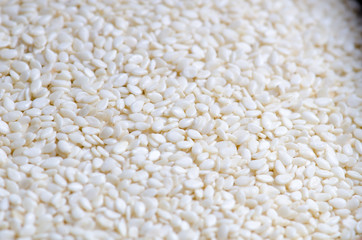 Sesame background.close up