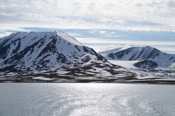 Foto op Plexiglas svalbard view of the landscape during the summer season © franco lucato