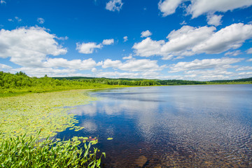 The Turtle Pond, in Concord, New Hampshire.