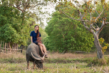 Girl is sitting on a water buffalo.