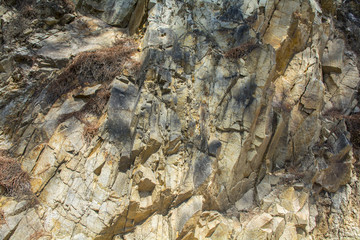 Volcanic Rock Texture