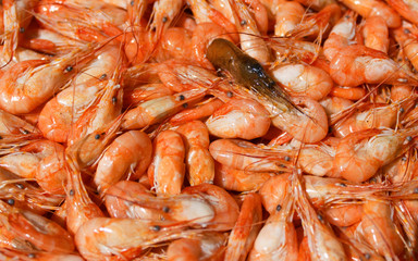 many small shrimp boiled and one raw