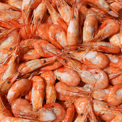 a lot of small boiled shrimp