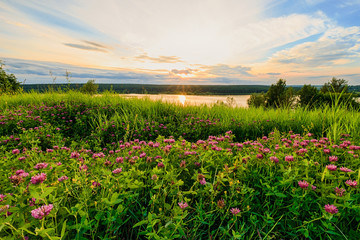 Scenic view of beautiful sunset above the lake with clover 