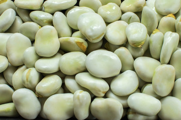 Młody bób zbliżenie