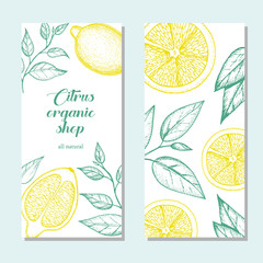 Citrus vertical banner collection. Lemons hand drawn in ink illustration. Vector vintage illustration. Line art graphic. Lemons flyer set.
