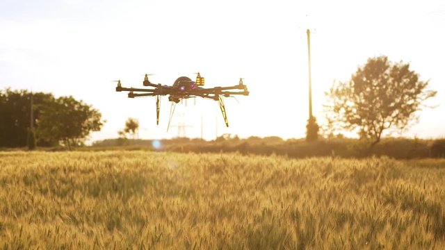 Drone flying low above field at sunset. Slow motion.
