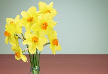 Daffodil.