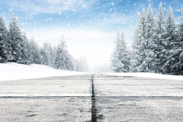 winter 