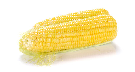 Fresh corn on white background.