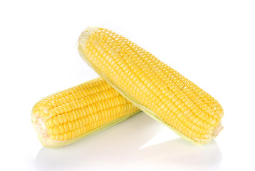 Fresh corn on white background.