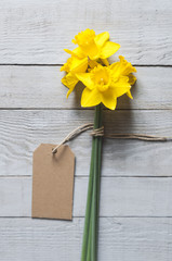 Yellow narcissus flowers and blank card on wooden background