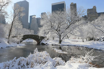 Central Park in Sneeuw, de winter, New York