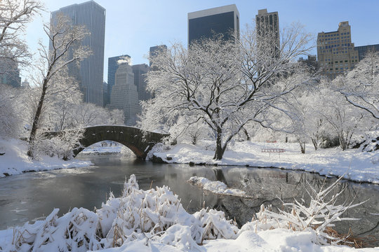 Central Park In Snow, Winter, New York