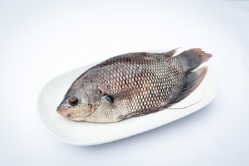 Giant gourami on plate selective focus for food. Cooking ingredient 
