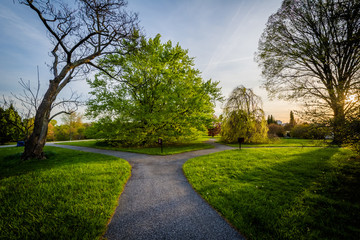 Walkway and trees at sunset, at Cylburn Arboretum, in Baltimore,