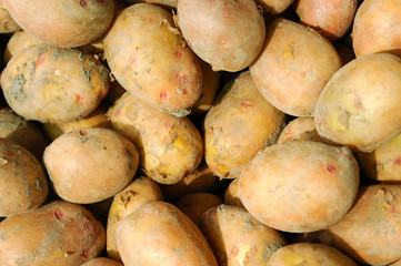 potatoes on the counter market for sale as a background