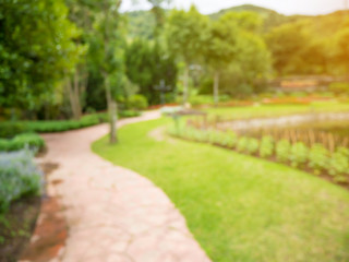 Obraz premium Walkway in the flowers garden blur background