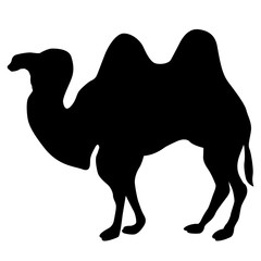 realistic camel silhouette black