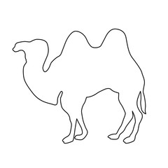 realistic camel black vector illustration line drawing