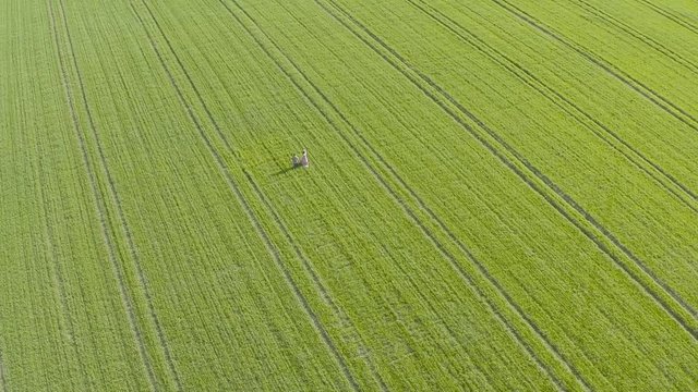 Green sown field and love couple. Aerial View.