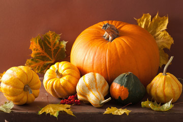 decorative pumpkins and autumn leaves for halloween