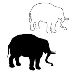 young elephant black silhouette line  set