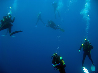 Scuba divers in the ocean