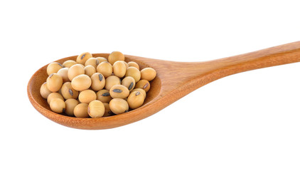 soy bean in spoon on white