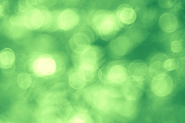 bokeh blurred background green grass leaves