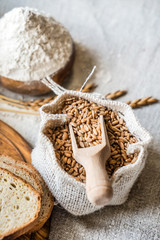 wheat and flour on the table