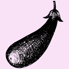 eggplant doodle style sketch illustration hand drawn vector