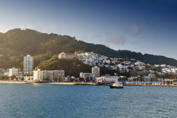Fototapeta premium Wellington waterfront, north island of New Zealand