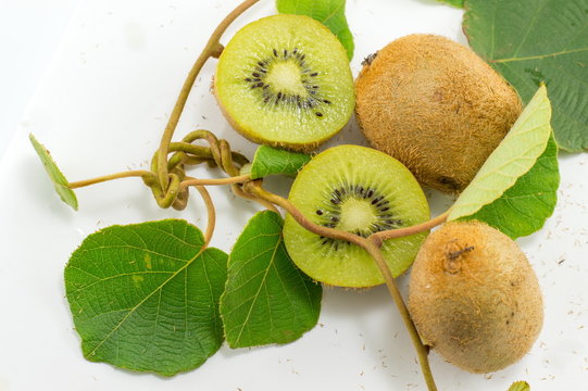 Freshly picked kiwi with branch and leaves