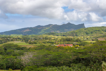 Fototapeta na wymiar Blick auf Chamarel mit Rumfabrik von Plaine Champagne Mauritius