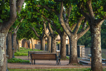 Bench in the park among the trees.