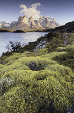 Chile, Torres del Paine National Park (Large format sizes available)