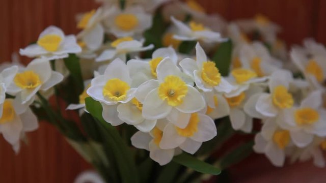 Bunch of spring daffodils