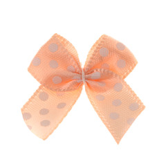  bow isolated on white background